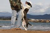 ADULTE ET CHIEN 199